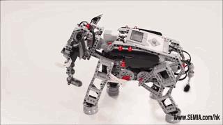 美国乐高教育,乐高培训班教程