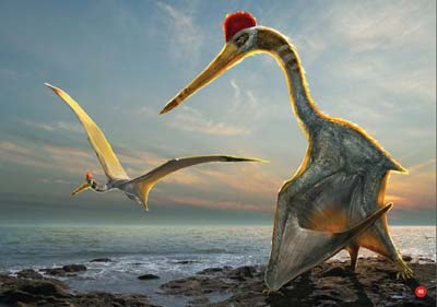 寻找恐龙消亡史免费网站,在恐龙时期灭绝的恐龙被重新发现