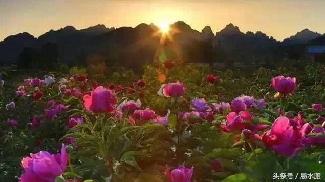 易县介绍在哪里,易县哪儿可以看玉的真假