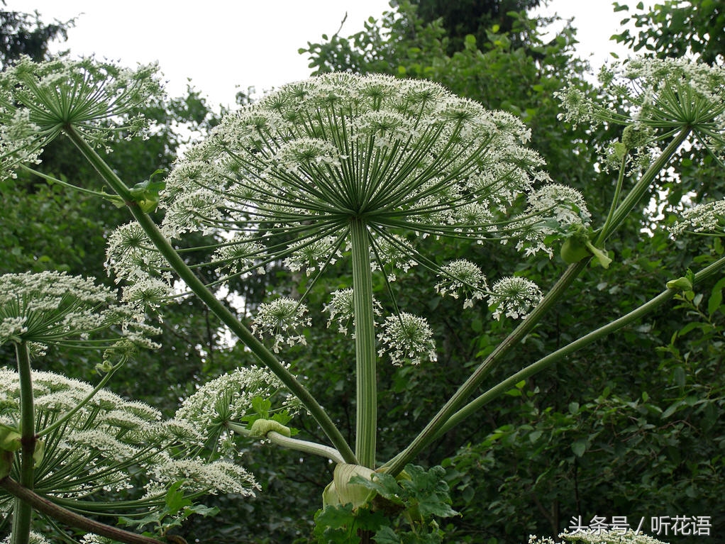 不知道给宝宝取什么名字好,不知道给小孩子取什么名字怎么取