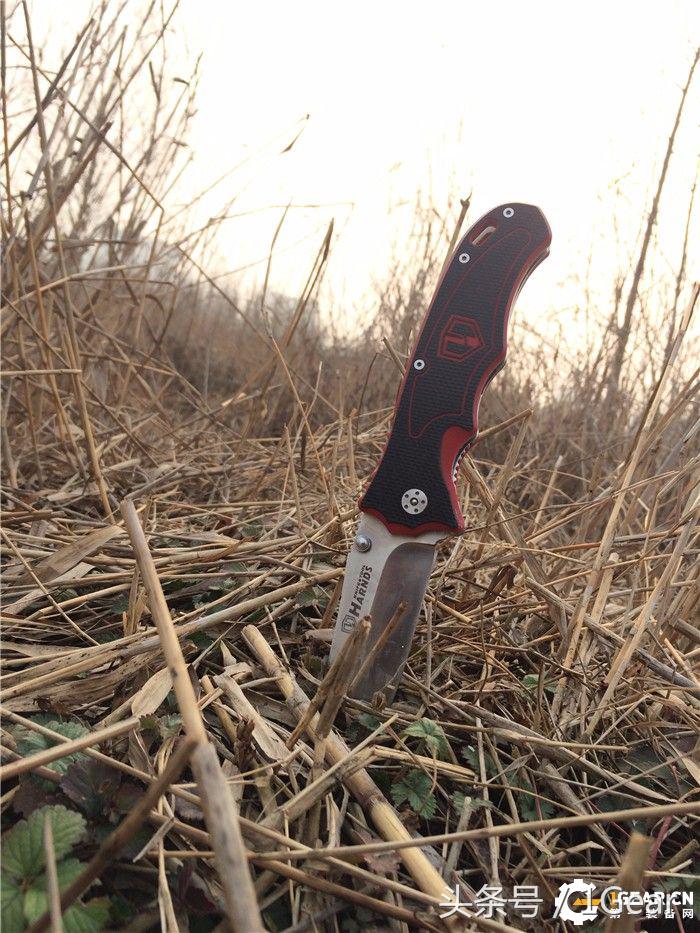 国产*刀折**中不多见的一款大折拓荒者户外*刀折**