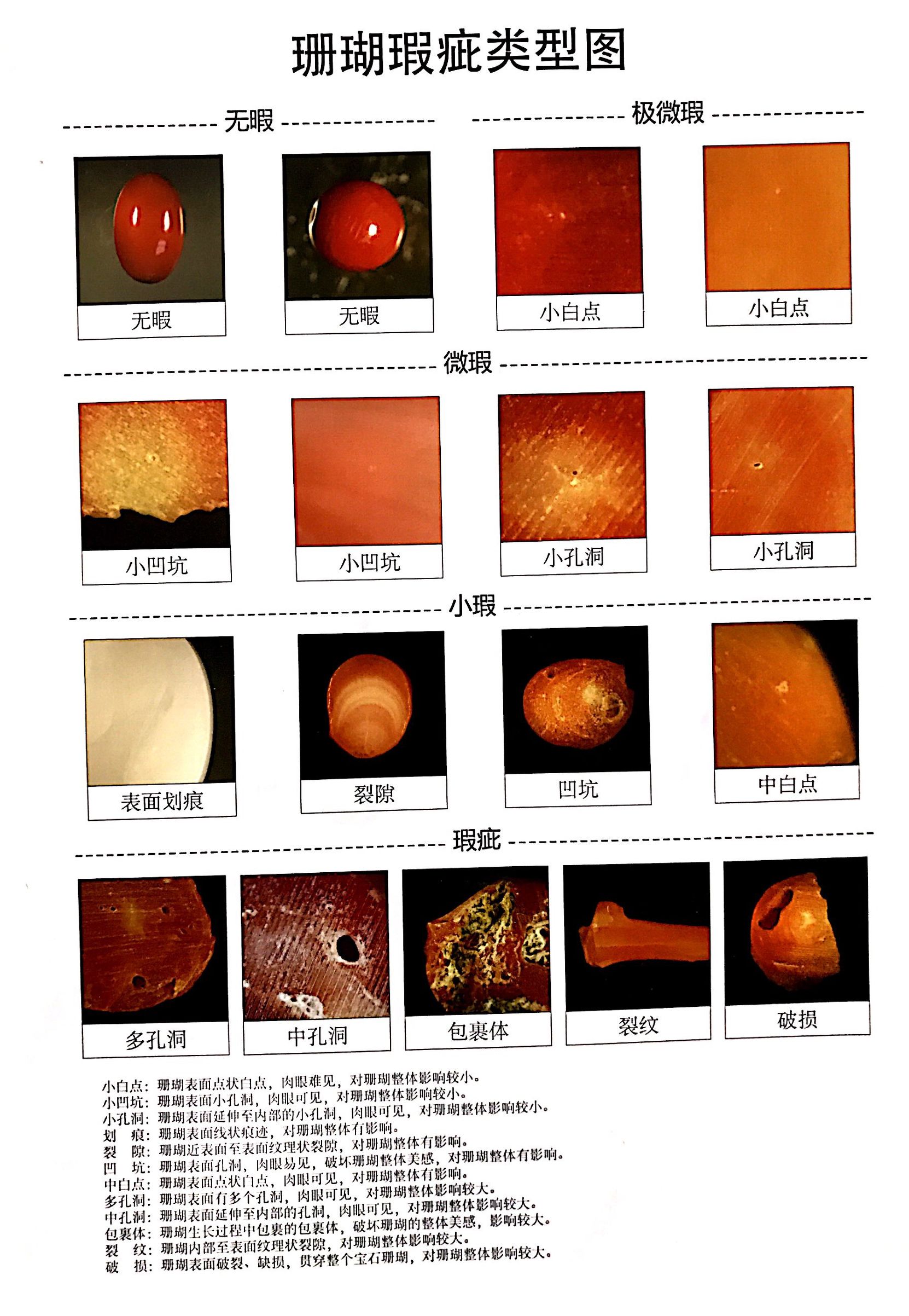 红珊瑚的等级怎么区别,红珊瑚的种类和分级