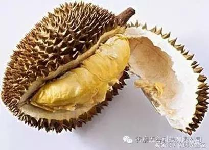 一招治痛经,治疗痛经的独门秘方