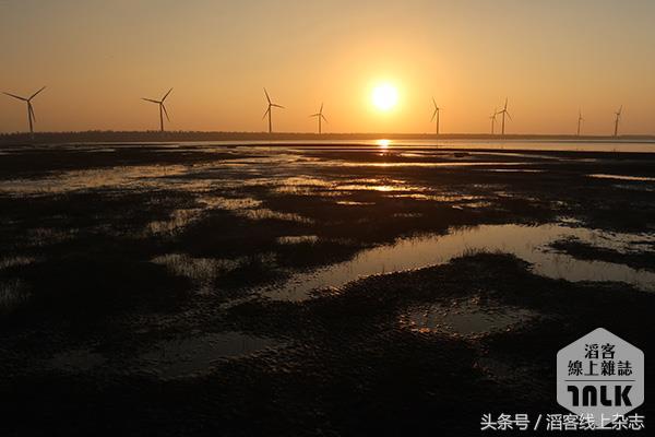 夕阳下的湿地美景,冬日下的湿地公园美如画