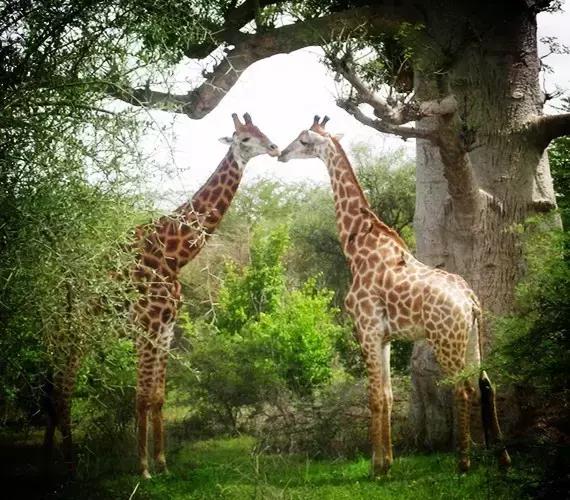 长期驻外该干嘛,驻外每周回家一次的工作值得做吗