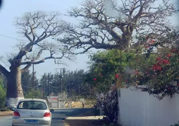 长期驻外该干嘛,驻外每周回家一次的工作值得做吗