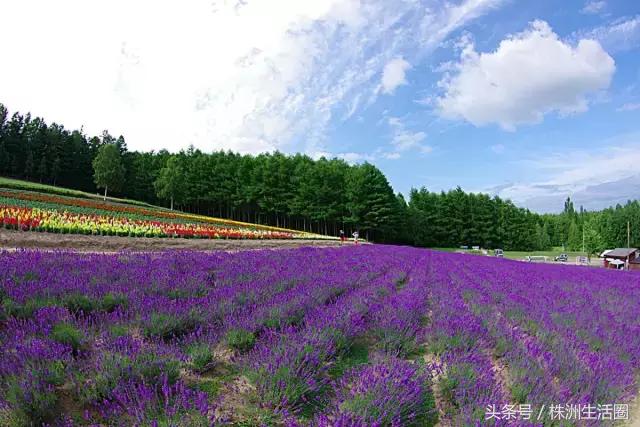 株洲市总体规划,株洲2019年规划