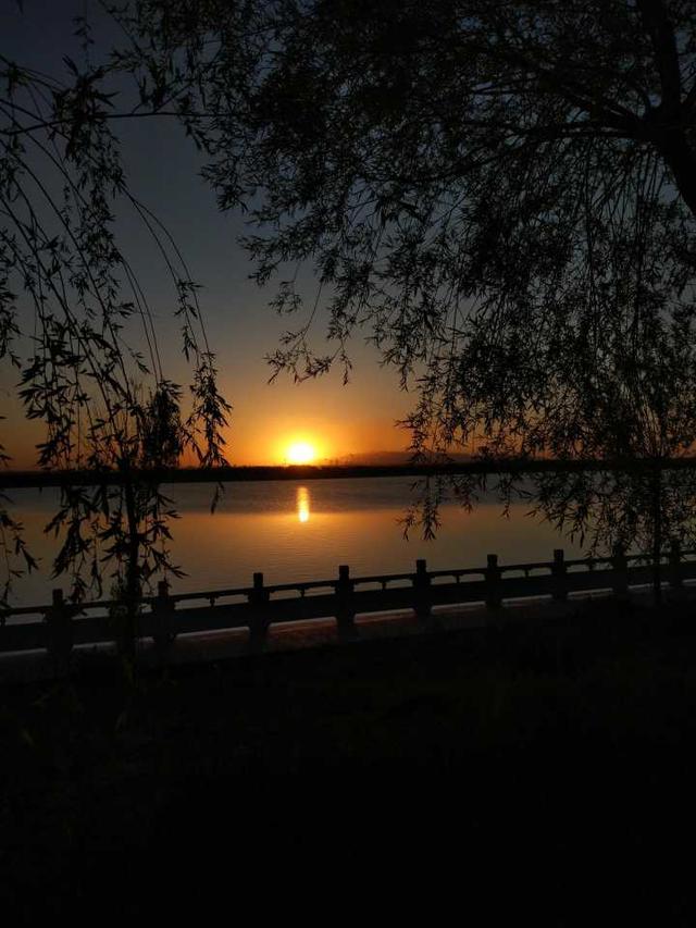 小米5拍照对比,小米5拍人像