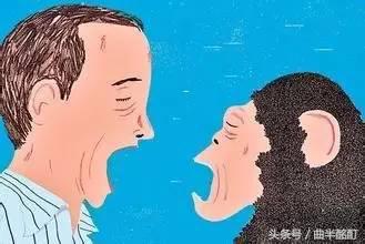 科普为什么打哈欠会传染,为什么打哈欠会传染英语ppt