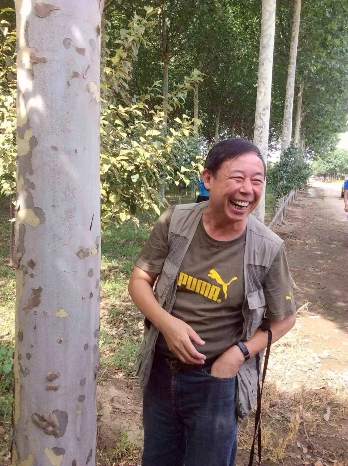 苗木那些事,山东苗木现状分析