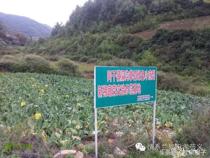 兰州深沟掌景区,西固深沟掌
