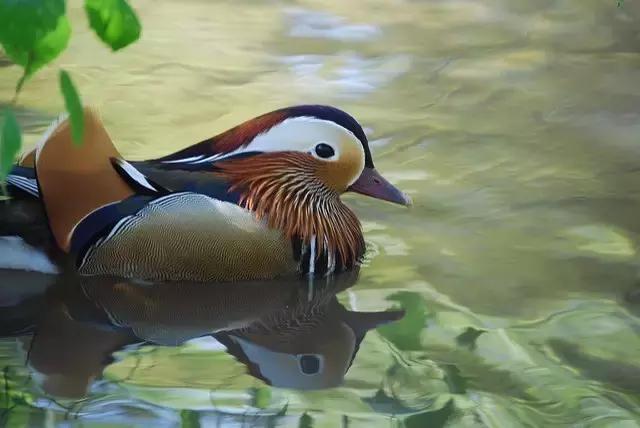 浜氭床寤変环鑸┖瀹樼綉,鎮﹁娉板浗鏃呰