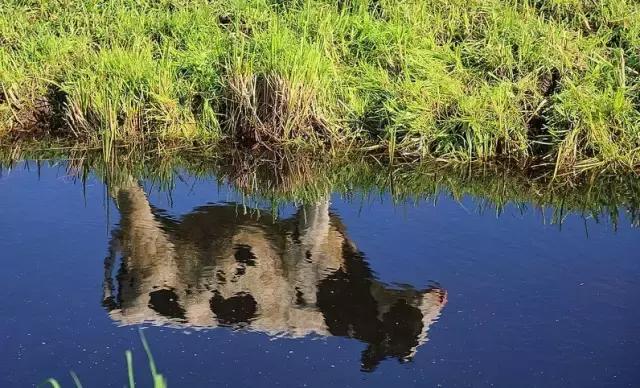 浜氭床寤変环鑸┖瀹樼綉,鎮﹁娉板浗鏃呰