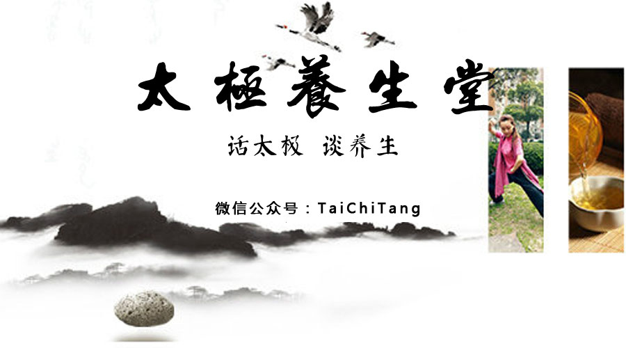 杨式太极拳都有哪些流派,太极拳理论精髓杨氏太极拳