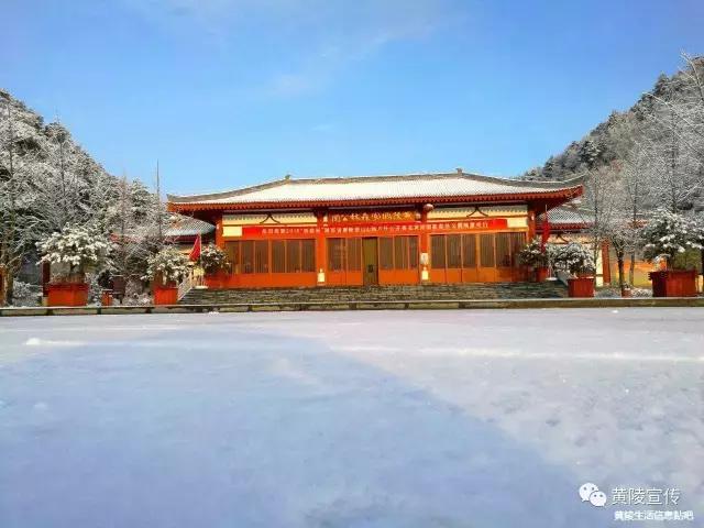 一场雪黄陵就美成了人间仙境