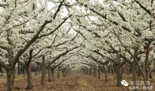 易县介绍在哪里,易县哪儿可以看玉的真假