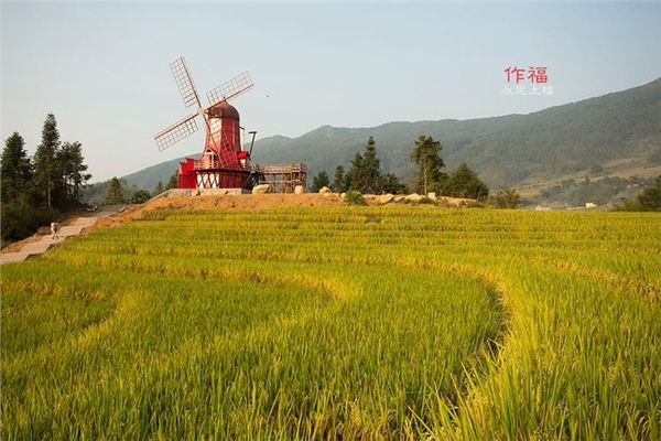 初溪土楼群,永定初溪土楼群景区