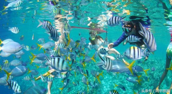 春日美丽的景色,春日里的风景美景