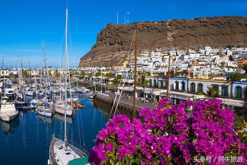 春日美丽的景色,春日里的风景美景