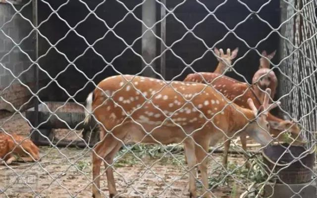 北京二人私密温泉价格表,北京四惠9号温泉门票多少钱