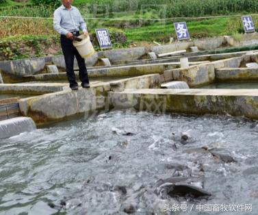 农村创业，可以做哪些项目呢？