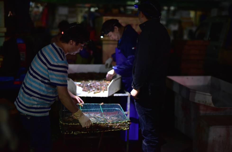 京深海鲜批发市场海鲜怎么样,2021京深海鲜市场吃海鲜攻略