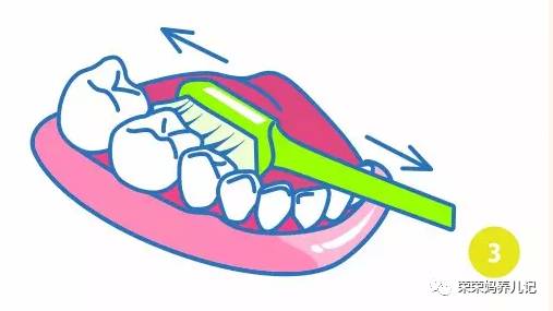 盘点李*荣大**的牙刷军团!其实吧,牙刷并不是重点,怎么刷才是!