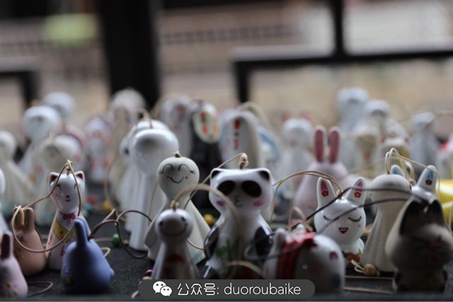 回忆之旅最适合带的植物,野外旅游必须记住的植物