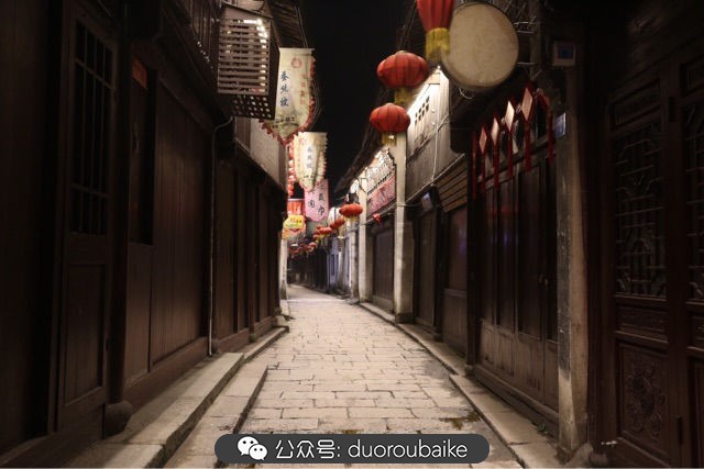 回忆之旅最适合带的植物,野外旅游必须记住的植物