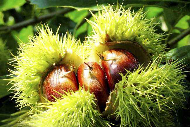 缃楃敯鏉挎牀椋庢櫙瑙嗛,缃楃敯鏉挎牀鍗抽鏉挎牀