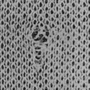 关于纺织面料疵点方面的知识,纺织课程教程