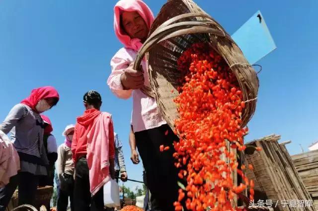 农民眼中的黄河,农民眼中的幸福是什么