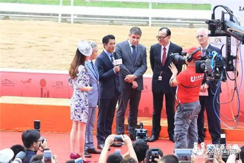 人不行,赛马上!甄子丹和洪金宝的赛马“真刀实枪”PK了一把!