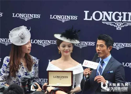 人不行,赛马上!甄子丹和洪金宝的赛马“真刀实枪”PK了一把!