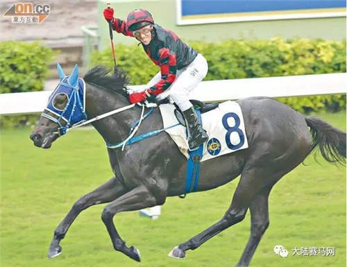 人不行,赛马上!甄子丹和洪金宝的赛马“真刀实枪”PK了一把!