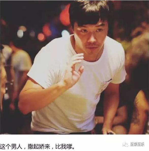 陈思诚和陈思成,陈思诚陈思诚