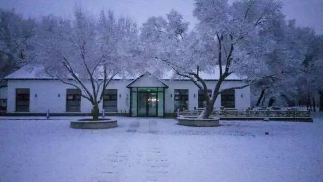 「聚焦」芸农庄的中国感恩节