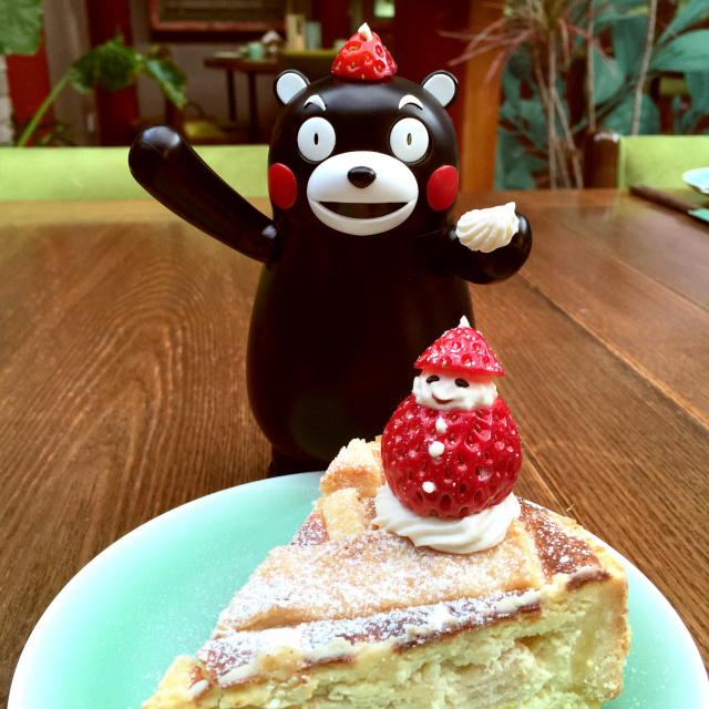 快赞本宝宝，熊本部长为你做苹果派啦！