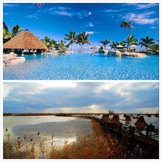 时髦办|直男现在都懂小猪皮CPU和TFboys口红啦(普天同庆)