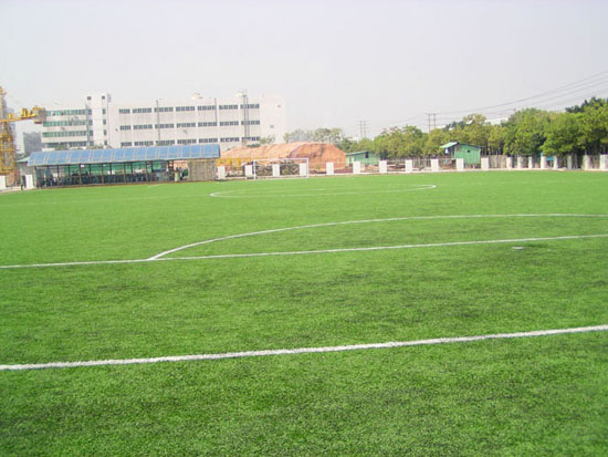 足球疯狂球迷视频,足球狂热球迷进场