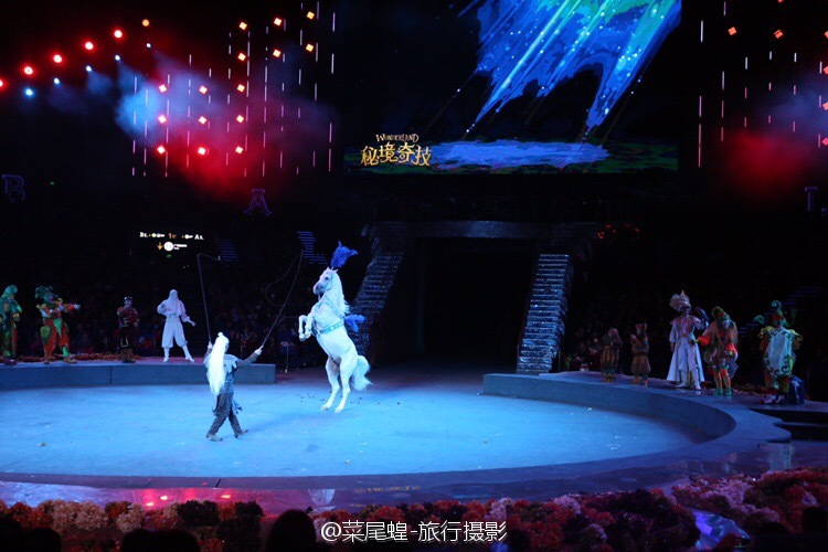 珠海长隆大马戏最佳观看位置,珠海长隆大马戏和长隆秀一样么