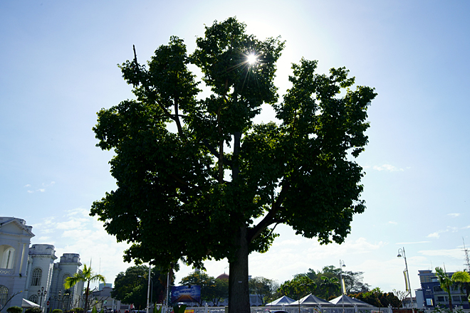 怡保旧街场咖啡二合一,怡保旧街场