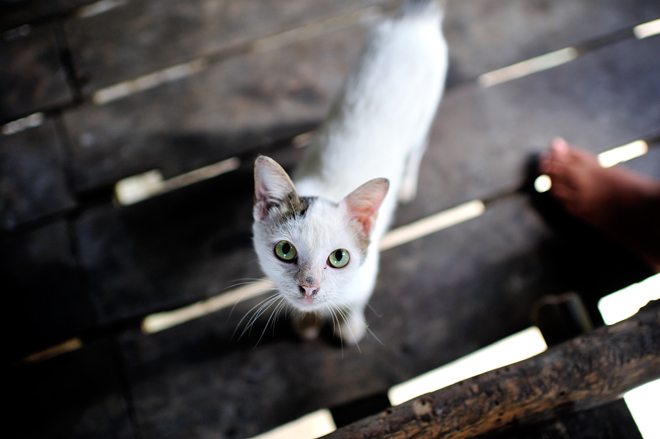 怡保旧街场咖啡二合一,怡保旧街场