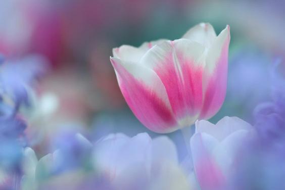 鼻头和下巴长痘,鼻头长痘如何化解