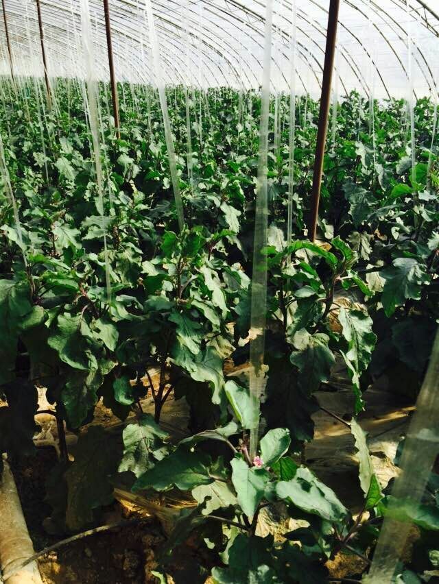 走吗约起之——外滩风尚西餐咖啡。各位您约了吗？我在太原尖草坪