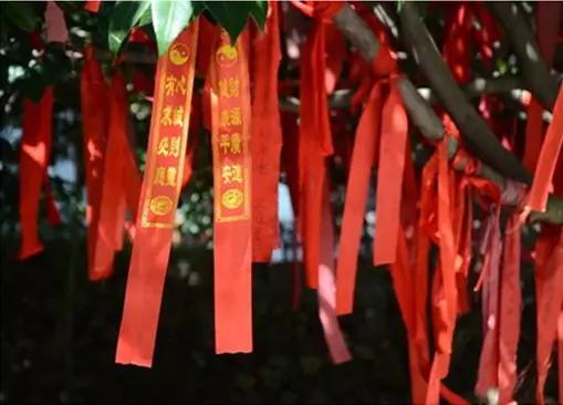 从东莞出发,不到两小时,就可以感受到靓爆灯的童话世界！