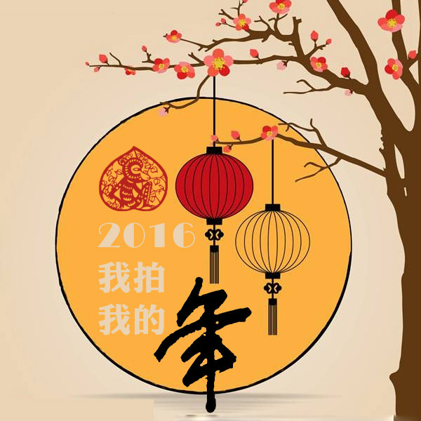 2016猴年后的下一个猴年,2016年猴年好吗