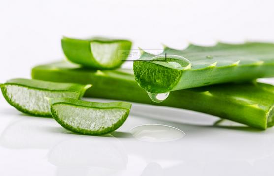 芦荟的价值有哪些,可食用芦荟和一般芦荟的区别