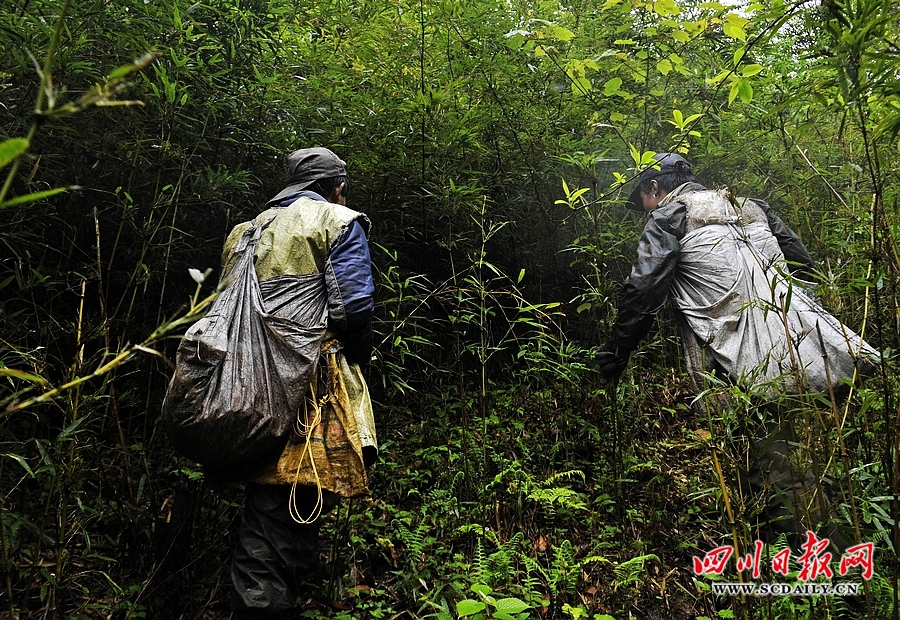 西部刀手,行走于中国道教神山四川洪雅瓦屋山,暗藏杀伐之气!