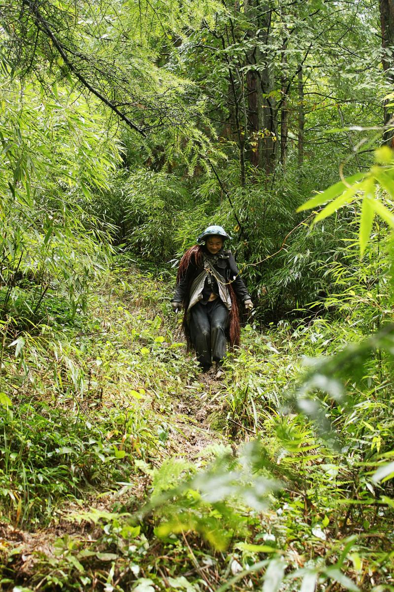 西部刀手,行走于中国道教神山四川洪雅瓦屋山,暗藏杀伐之气!